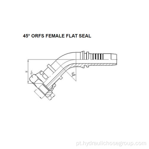 45 ° ORFS Fêmea Flat Seal 24241
